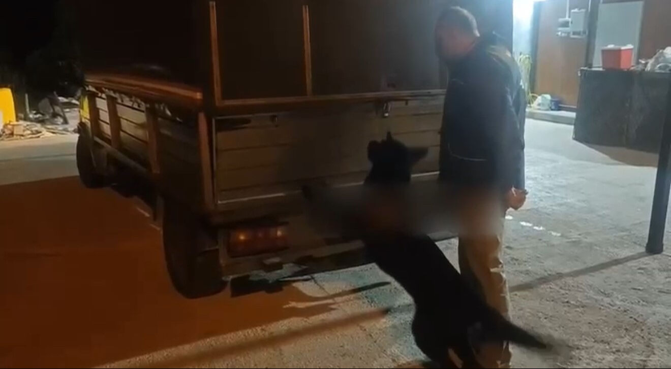 Taşınma görünümlü uyuşturucu sevkiyatı! Bulaşık makinesini açan ekipler şaşkına döndü Taşınma görünümlü uyuşturucu sevkiyatı! Bulaşık makinesini açan ekipler şaşkına döndü - 1. Resim