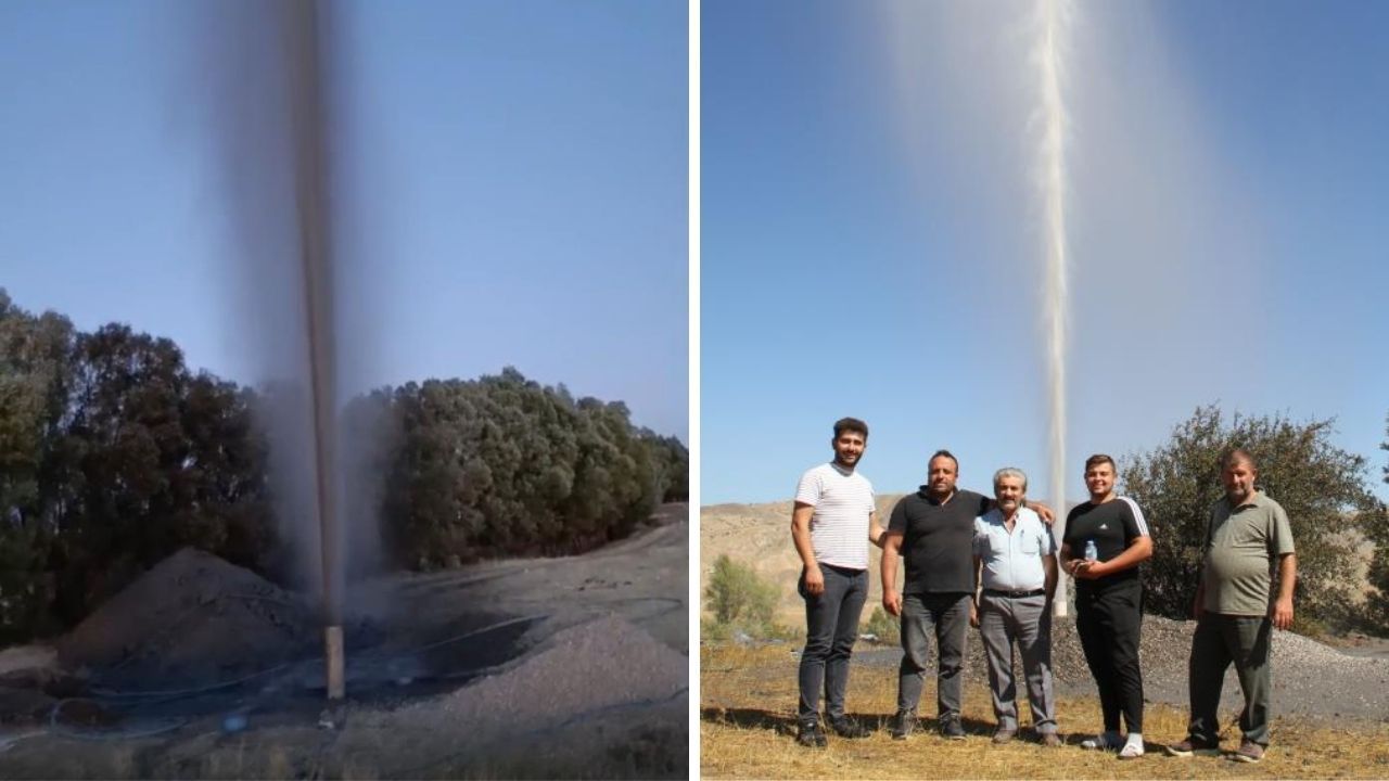 Yaşam
