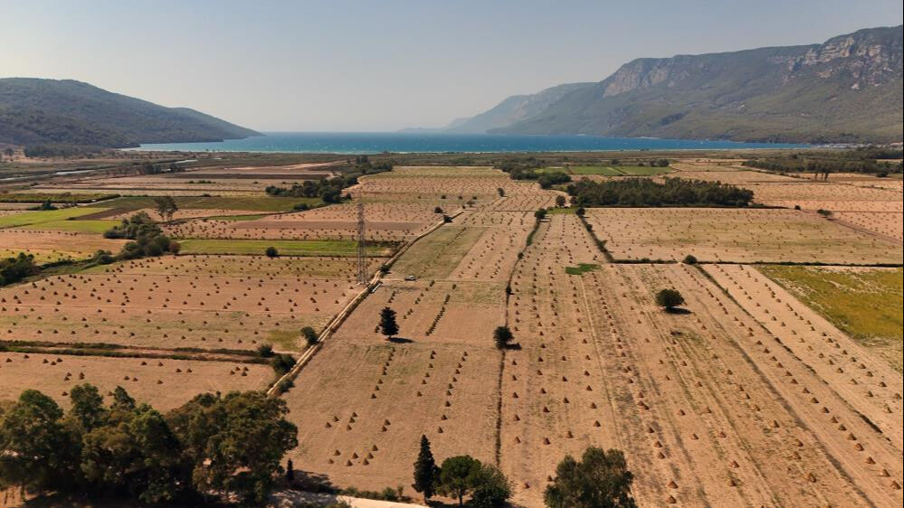 Japonlar kapıda bekliyor! Üretici işçi bulamıyor... Geçen yıl 150 liraydı - 1. Resim