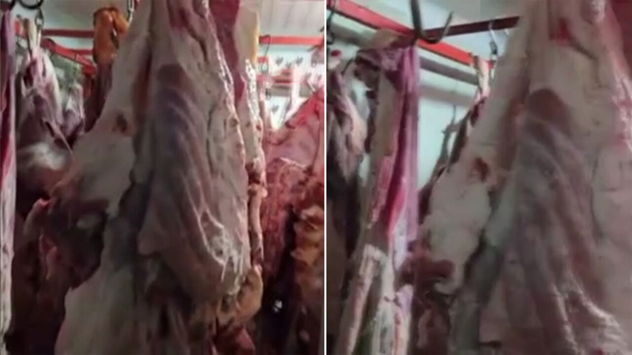 Kayseri'de mide bulandıran görüntü! Tam 1,5 ton ele geçirildi, hepsi imha edildi - 1. Resim