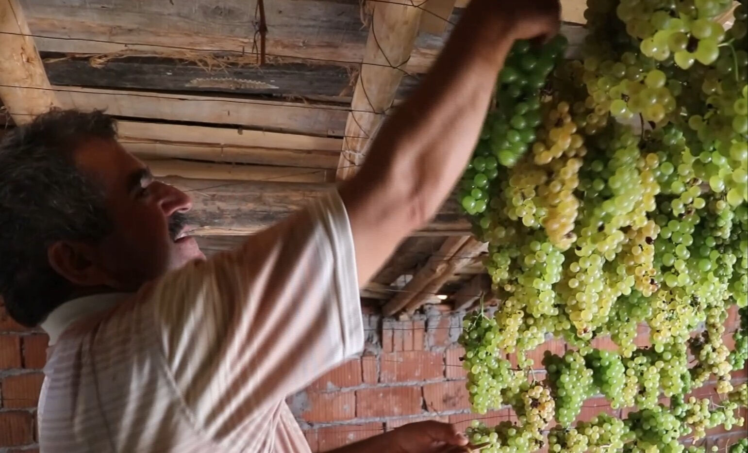 5 kilo yaş üründen 1 kilo kurusu çıkıyor! Torosların yeşil altınında hasat başladı, 100 liradan satışta - 2. Resim