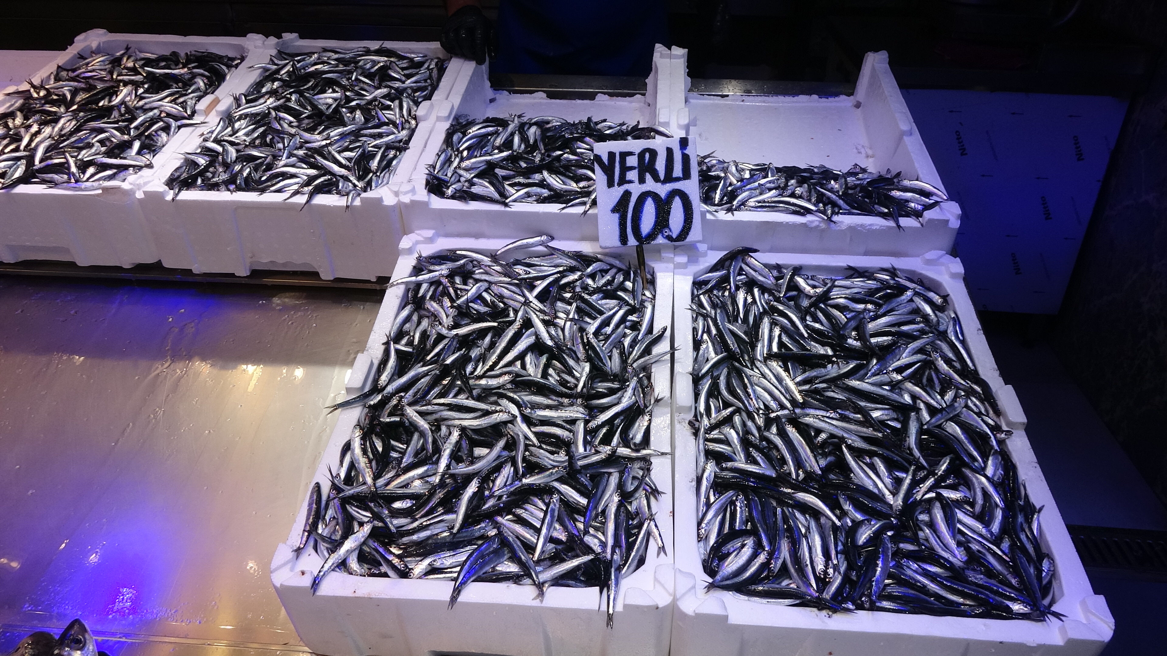 Balıkçı tezgahlarına bereketin ardından belirsizlik geldi: Bu sezon misafirlik kısa sürecek! Balıkçı tezgahlarına bereketin ardından belirsizlik geldi: Bu sezon misafirlik kısa sürecek! - 3. Resim