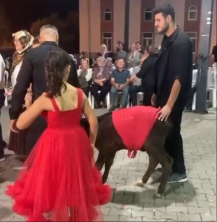 Damadın eniştesinden ilginç düğün hediyesi! Davetliler şaşırıp kaldı Damadın eniştesinden ilginç düğün hediyesi! Davetliler şaşırıp kaldı - 2. Resim