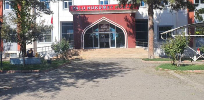 Elazığ'daki kayıp kuzenler davasında 12 gözaltı kararı! - 2. Resim