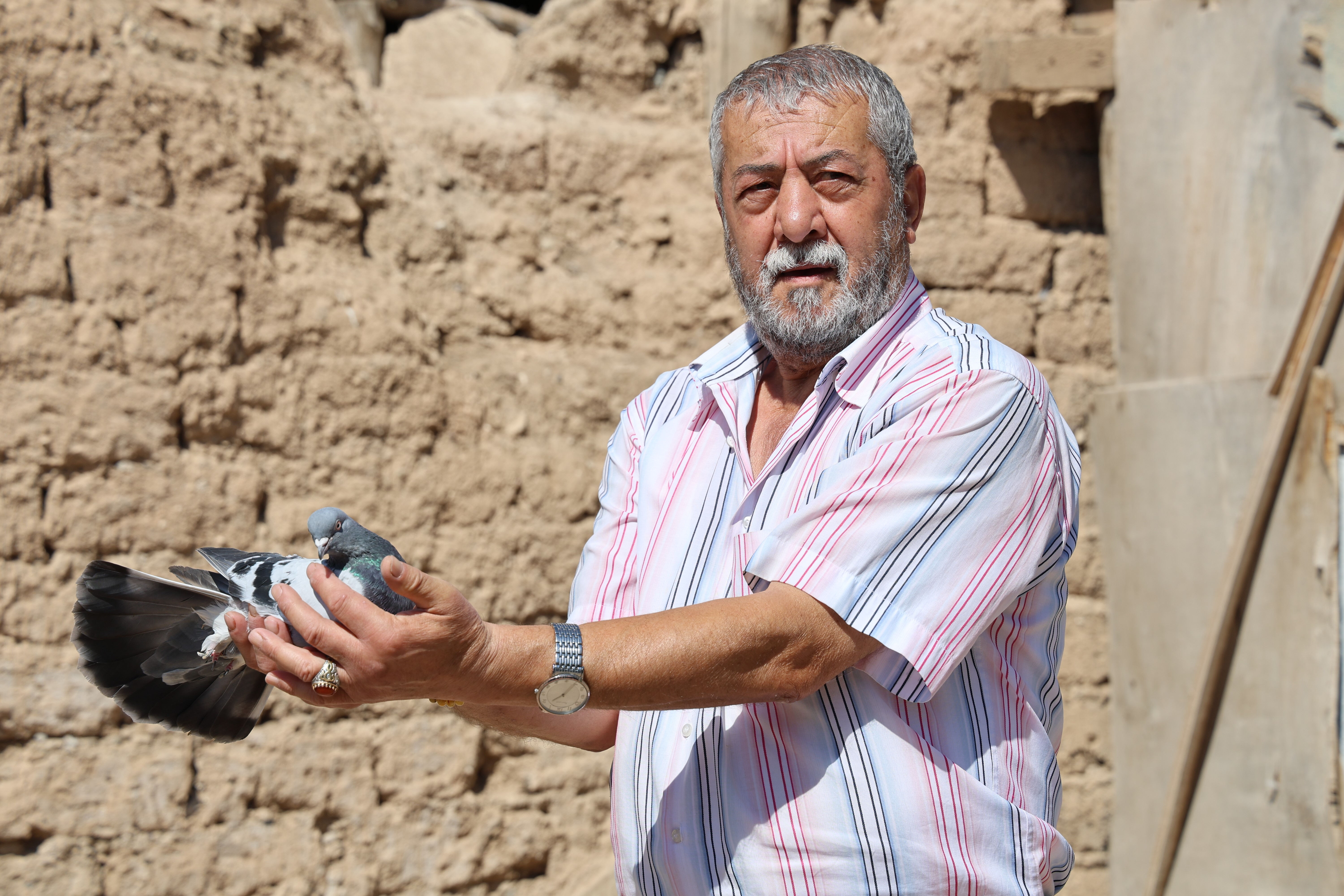 Amatör'den Süper Lig'e, her kuşun yeri var! Fiyatı 100 bin TL'ye kadar çıkıyor - 2. Resim