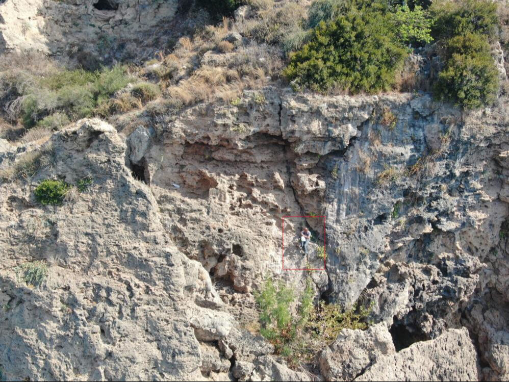 İnsanlar inmeye cesaret edemiyor! Kaya koruğu otu için hayatını tehlikeye atıyor... Meslek haline getirdi - 3. Resim