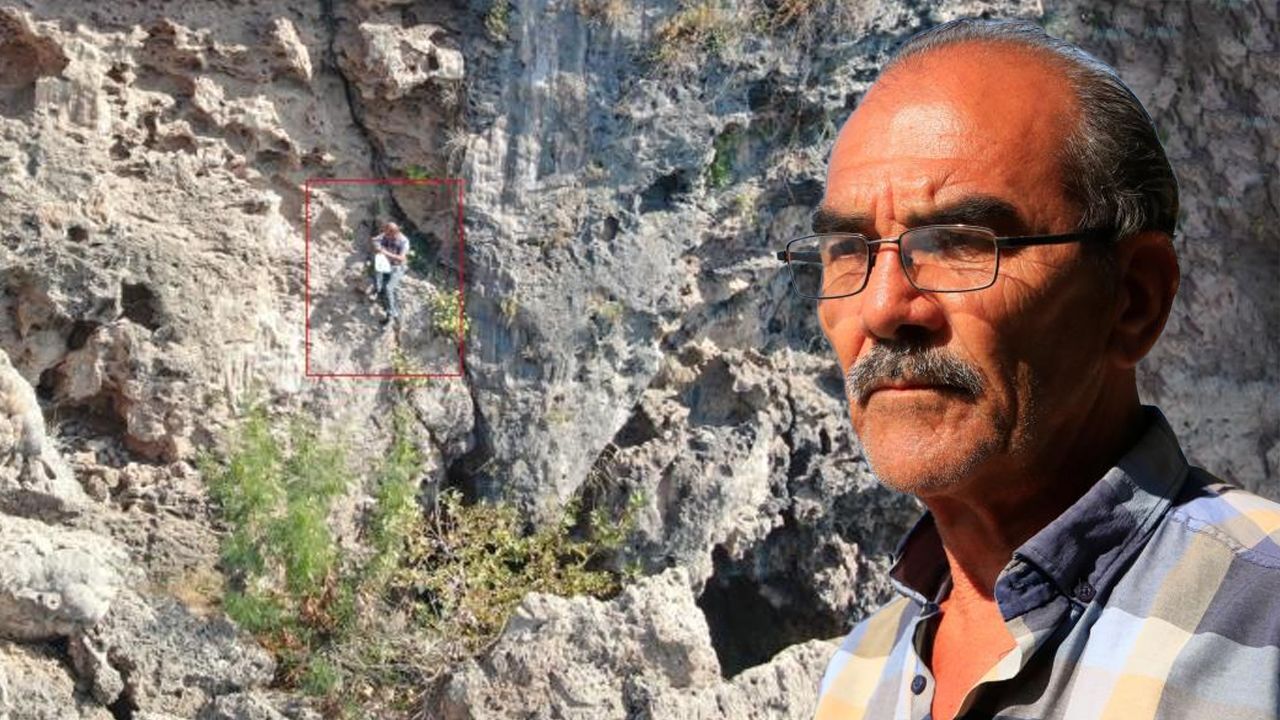 -O bitki için hayatını bile tehlikeye atıyor!