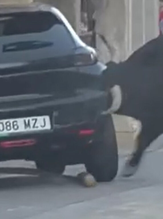 Park halindeki araç kızgın boğanın hedefi oldu - 1. Resim