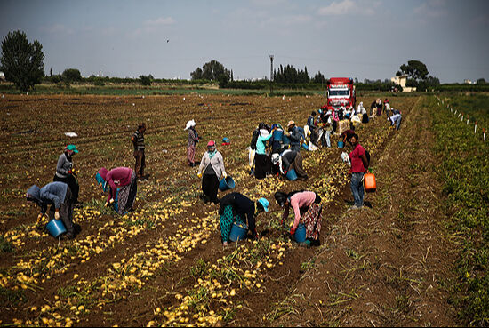 Pluxee, Türkiye’de çalışanların mutluluğunu ölçtü Pluxee, Türkiye’de çalışanların mutluluğunu ölçtü - 1. Resim