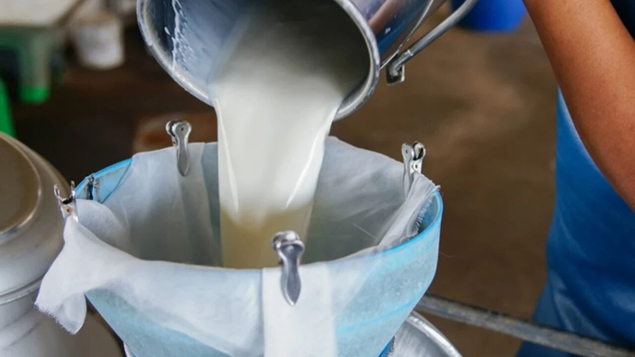 Çiğ süte zam! Peynir ve yoğurt fiyatlarına da yansıyacak - 1. Resim