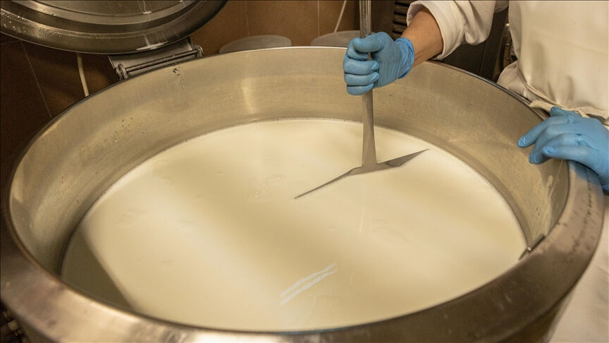 Çiğ süte zam! Peynir ve yoğurt fiyatlarına da yansıyacak - 2. Resim