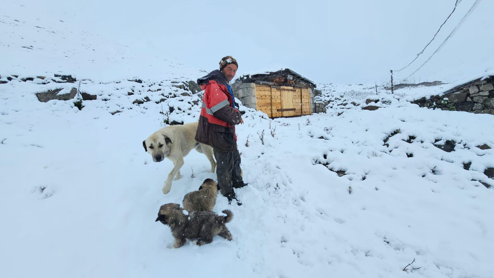 Bir gecede sonbahardan kışa geçiş! Kar kalındığı 10 santimi buldu - 1. Resim