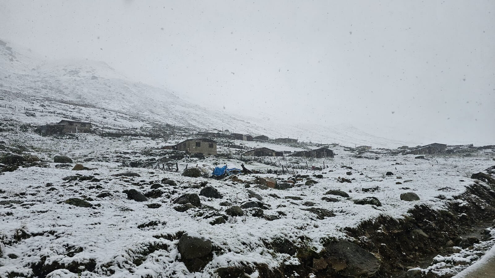 Bir gecede sonbahardan kışa geçiş! Kar kalındığı 10 santimi buldu - 2. Resim