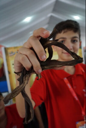 Korku eşiği aşıldı, kralını yaparız! 10 yılda değişen TEKNOFEST gençliği - 11. Resim