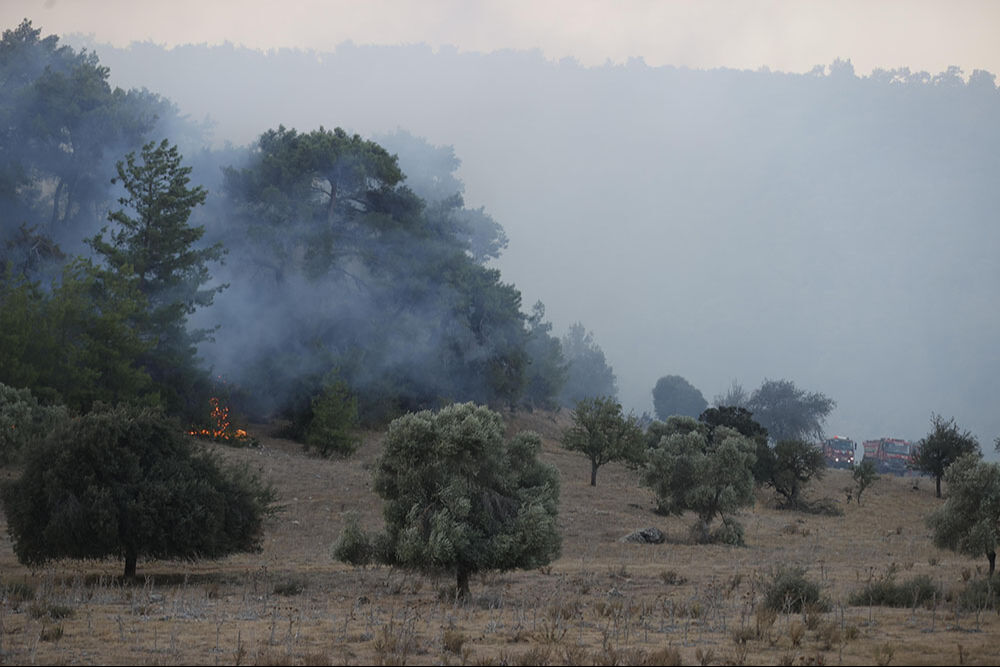 Muğla'daki yangın söndürüldü mü? Milas orman yangını son durum merak ediliyor Muğla'daki yangın söndürüldü mü? Milas orman yangını son durum merak ediliyor - 2. Resim