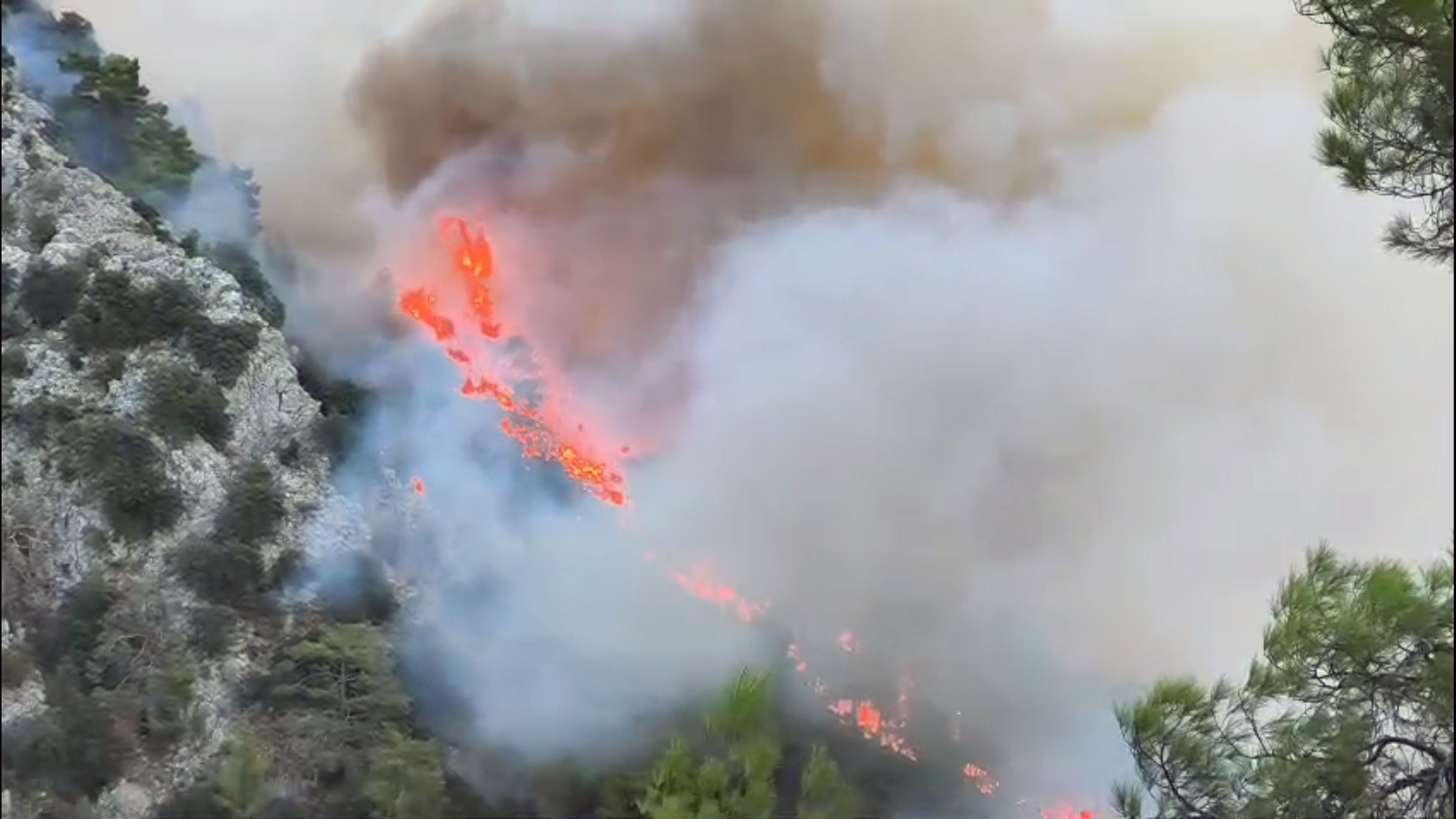 Orman yangını gönüllülerine yeni statü: Şehitlik ve tazminat hakkı kapıda - 1. Resim