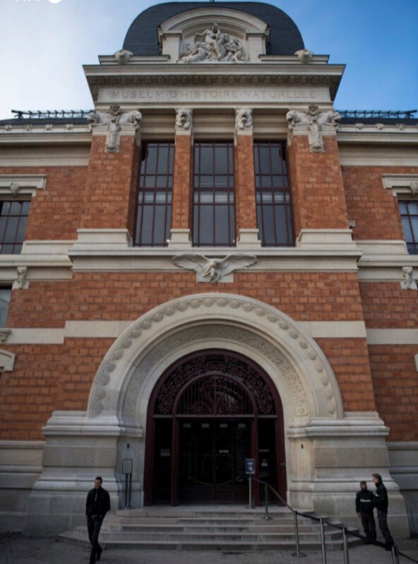 Paris'te müze soygunu! 29 milyonluk altın çaldılar Paris'te müze soygunu! 29 milyonluk altın çaldılar - 2. Resim