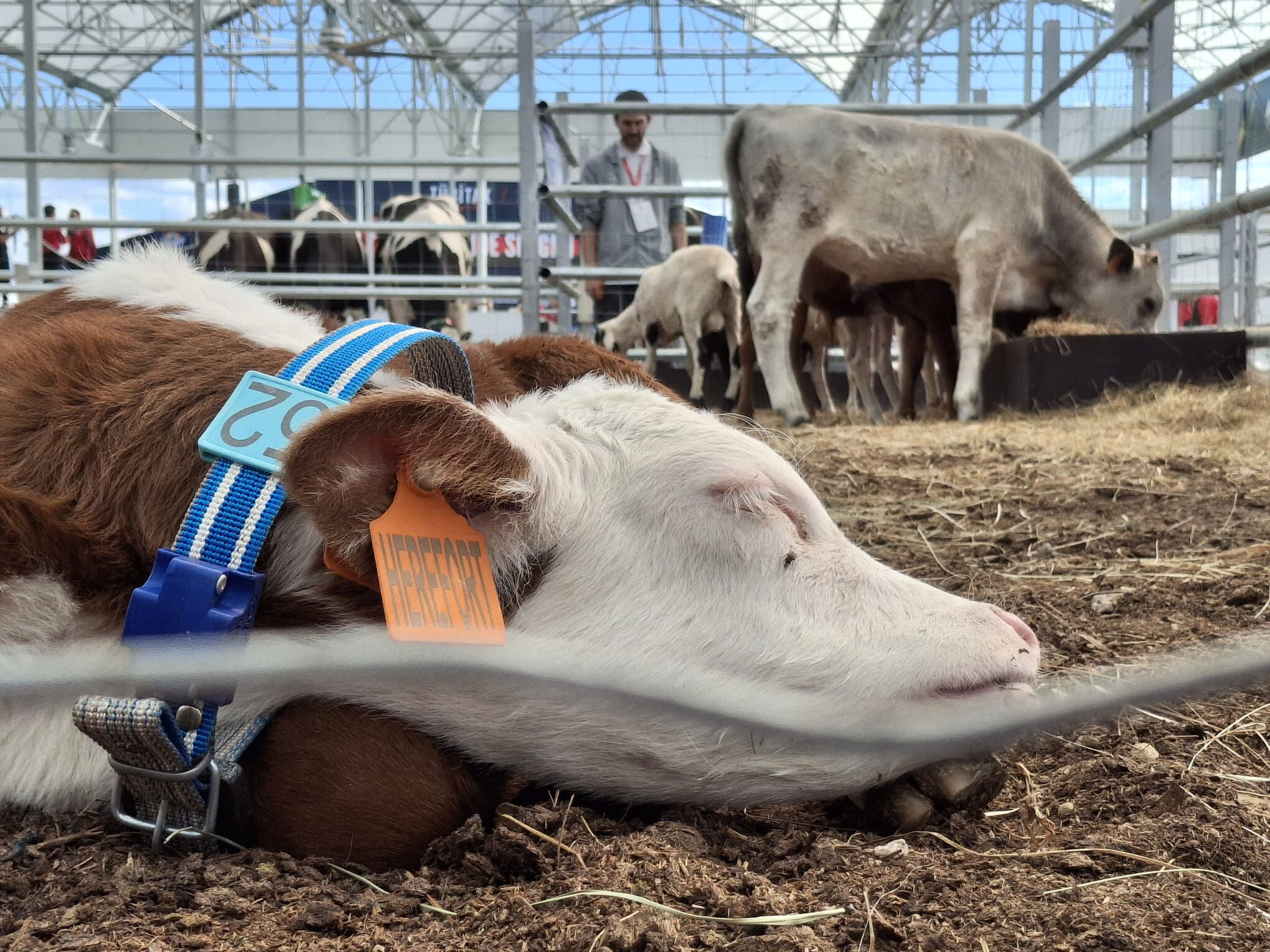 TEKNOFEST'te tarım ve teknoloji birleşti! 