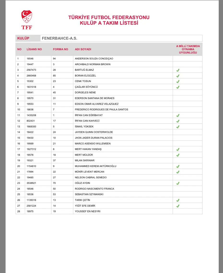 TFF, Süper Lig ekiplerinin kadrolarını duyurdu: Fenerbahçe'nin yeni transferi listeye alınmadı - 1. Resim