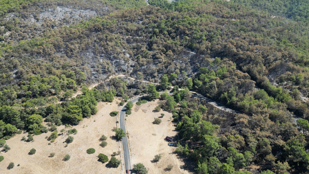 Alanya ve Milas'ta orman yangını! Alevler evlere yaklaştı.. - 3. Resim