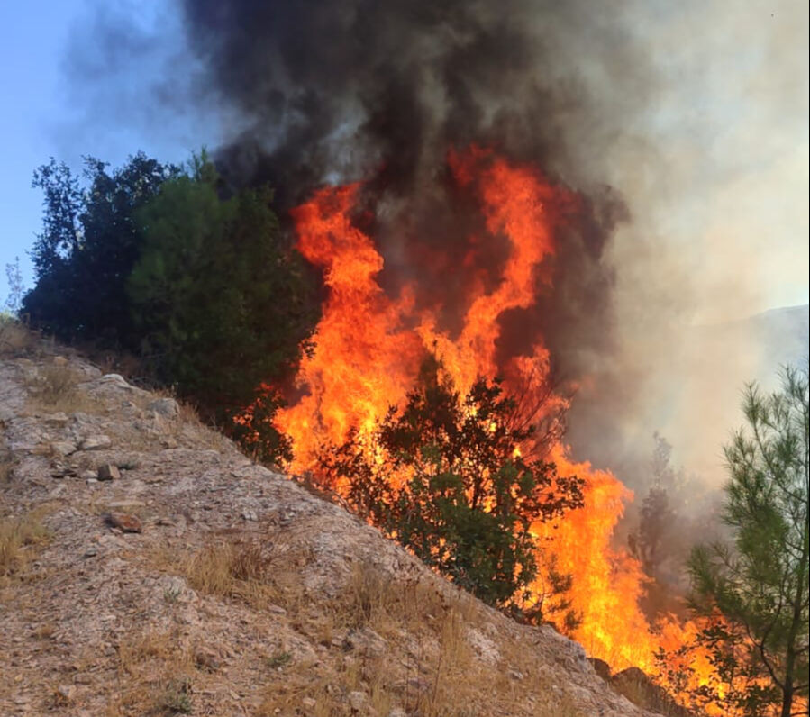 Balıkesir Sındırgı'da orman yangını! Alevler kontrol altında Balıkesir Sındırgı'da orman yangını! Alevlere müdahale sürüyor - 1. Resim