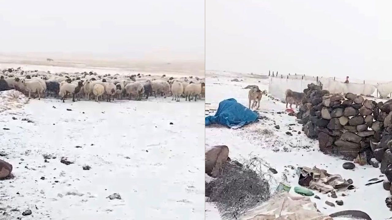 Yaşam