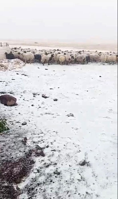 Eylül’de kar sürprizi! Köy halkını hem şaşırttı hem sevindirdi - 3. Resim