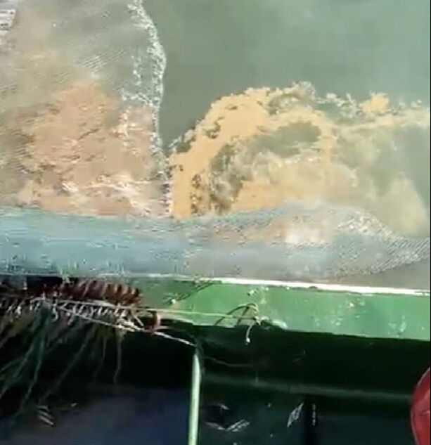 Kabus geri döndü, uzmanlar uyardı: Müsilaj tehlikesi kış boyu sürebilir - 1. Resim