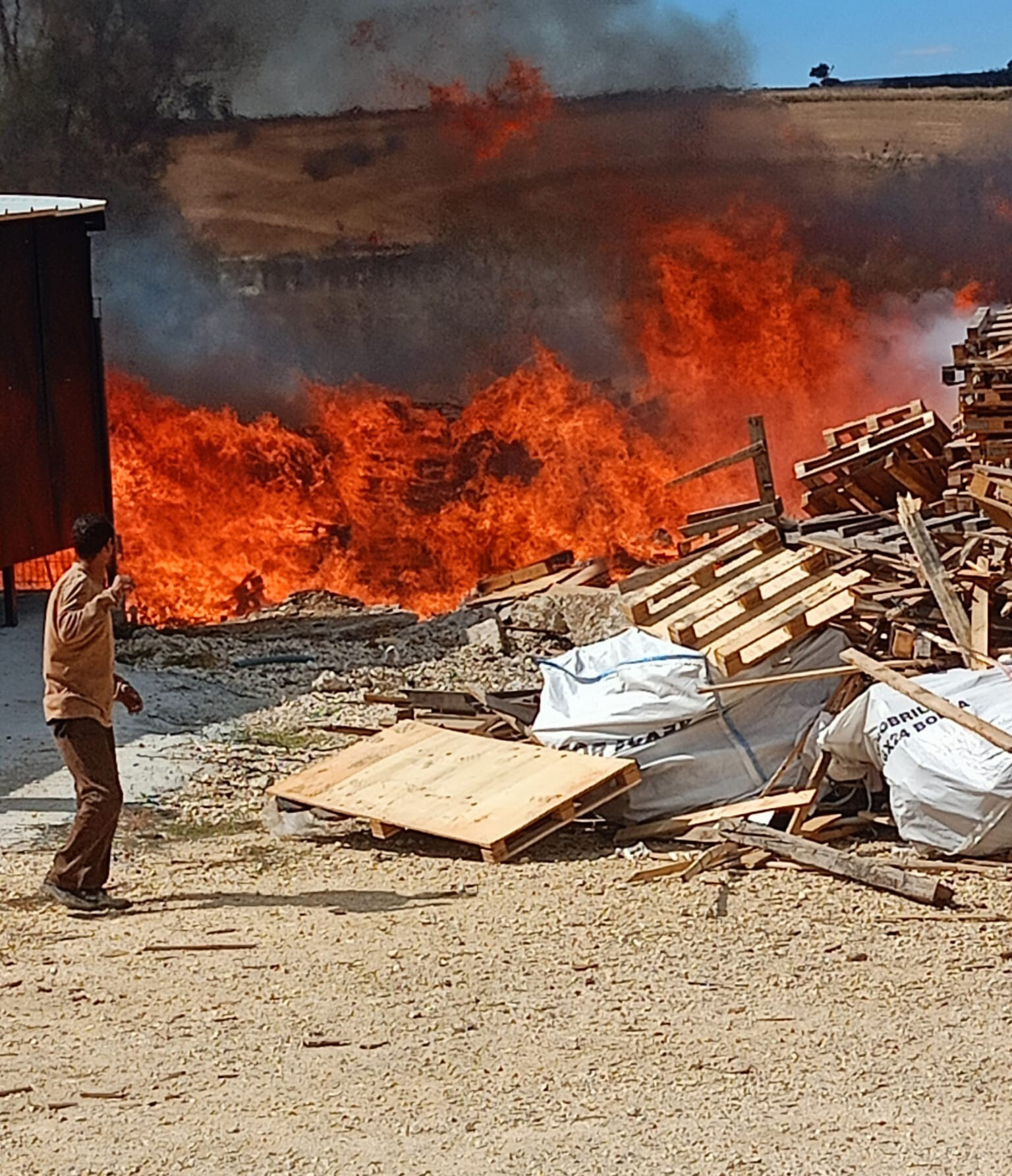 Palet fabrikası alevlere teslim oldu! Hepsi küle döndü - 1. Resim