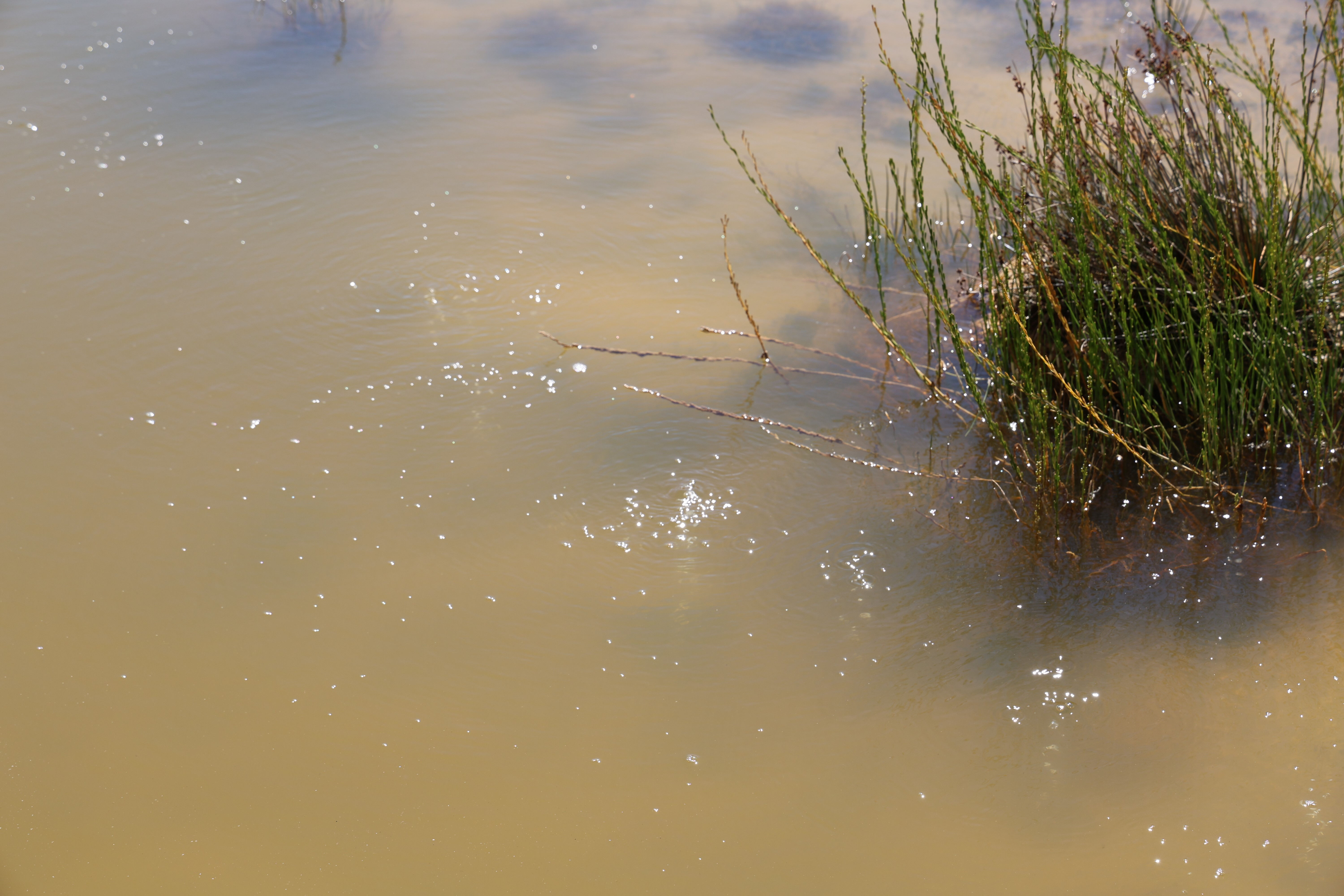 Sedef ve kaşıntı gibi rahatsızlıklara şifa! Doktora gidip çare bulamayanlar "Uyuz Gölü" ile iyileşiyor - 4. Resim