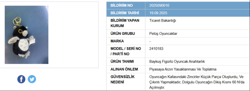 Ticaret Bakanlığı harekete geçti! Bu oyuncaklar evinizde varsa dikkat - 2. Resim