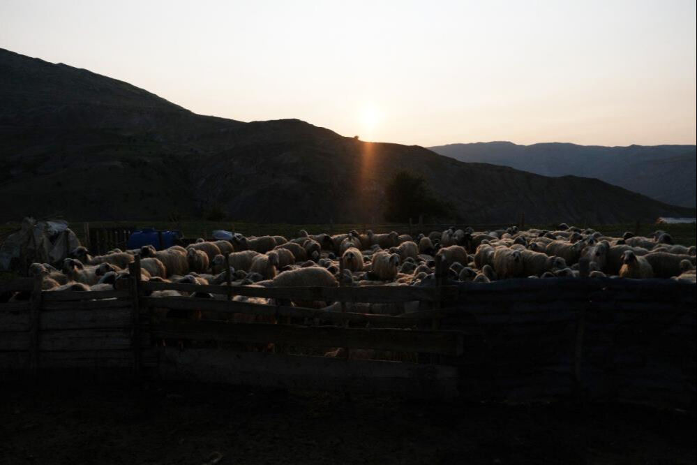 Asırlardır yapıyor, tadına bakan bağımlısı oluyor! Geleneksel yöntemlerle ekonomiye katkı veriyorlar - 4. Resim