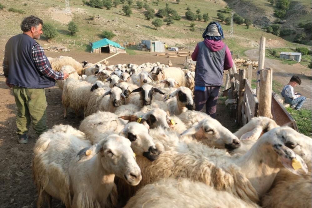 Asırlardır yapıyor, tadına bakan bağımlısı oluyor! Geleneksel yöntemlerle ekonomiye katkı veriyorlar - 7. Resim