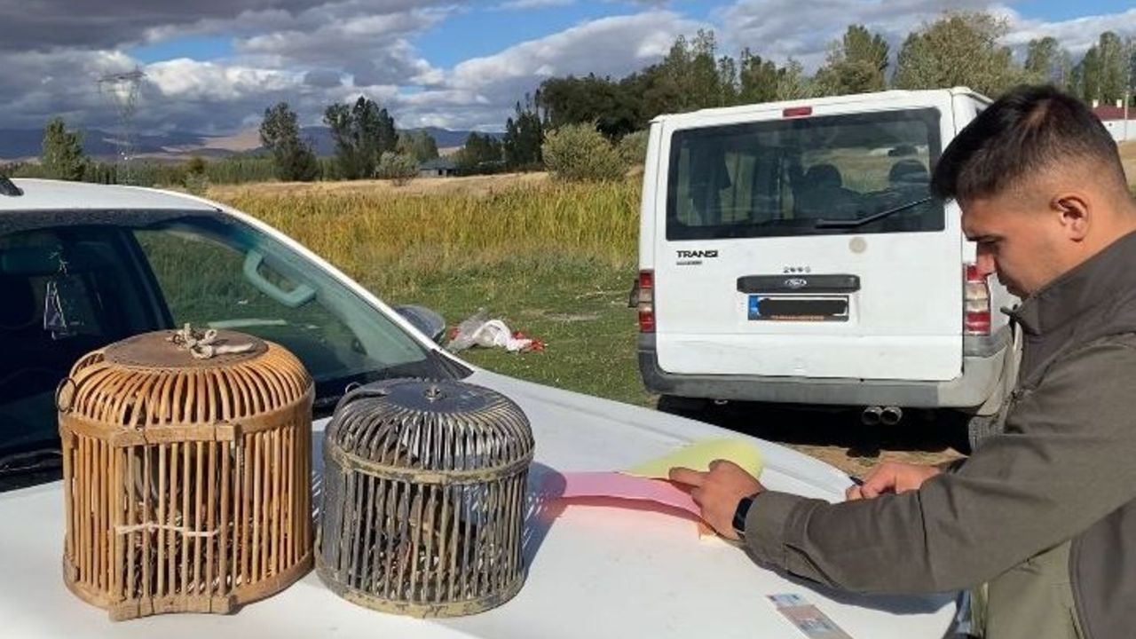 Yaşam
