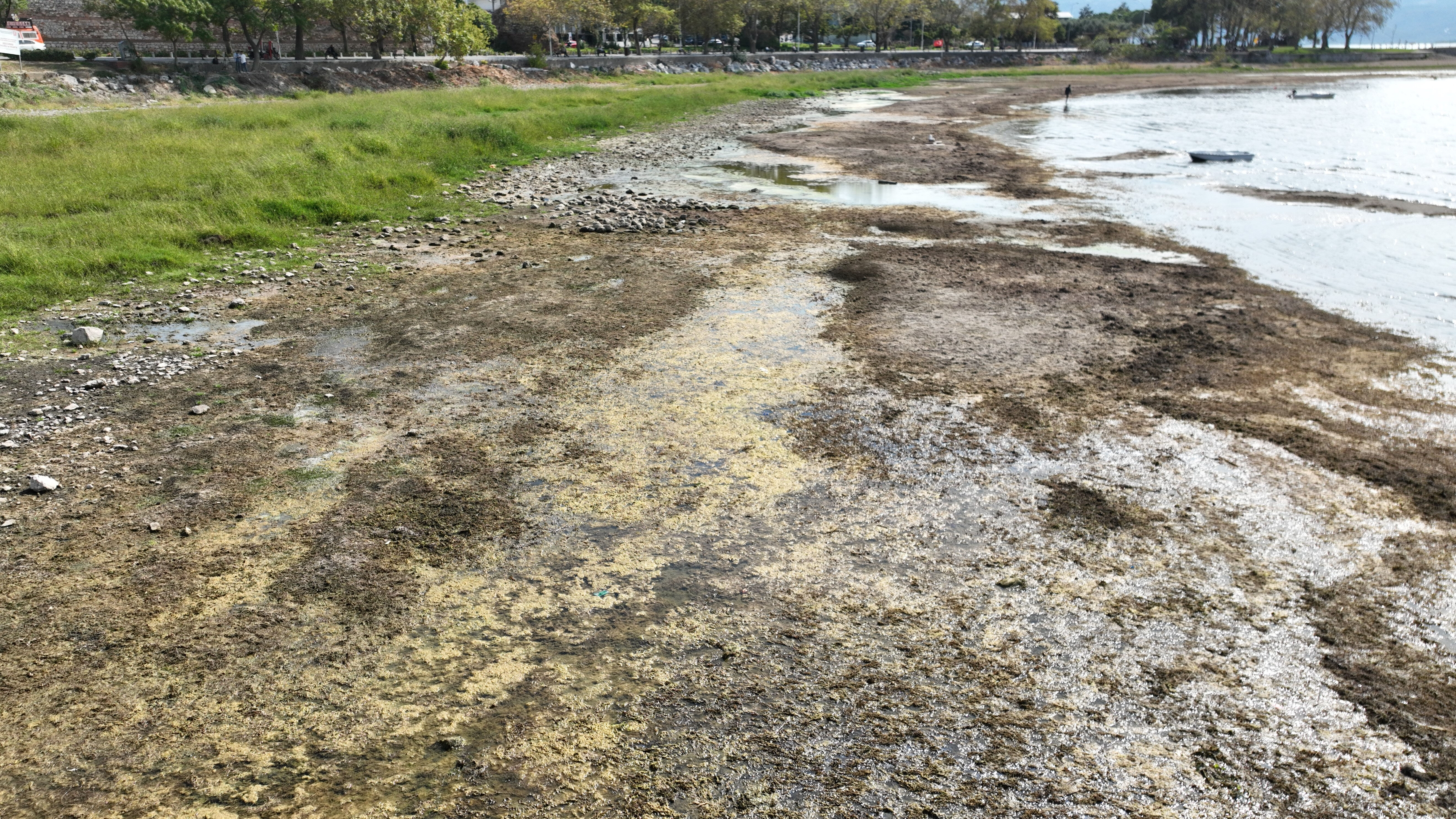 Marmara'nın en büyüğü İznik Gölü artık bataklık: Kuraklık dakikalarla ilerliyor, sanayi frene basmıyor! - 1. Resim