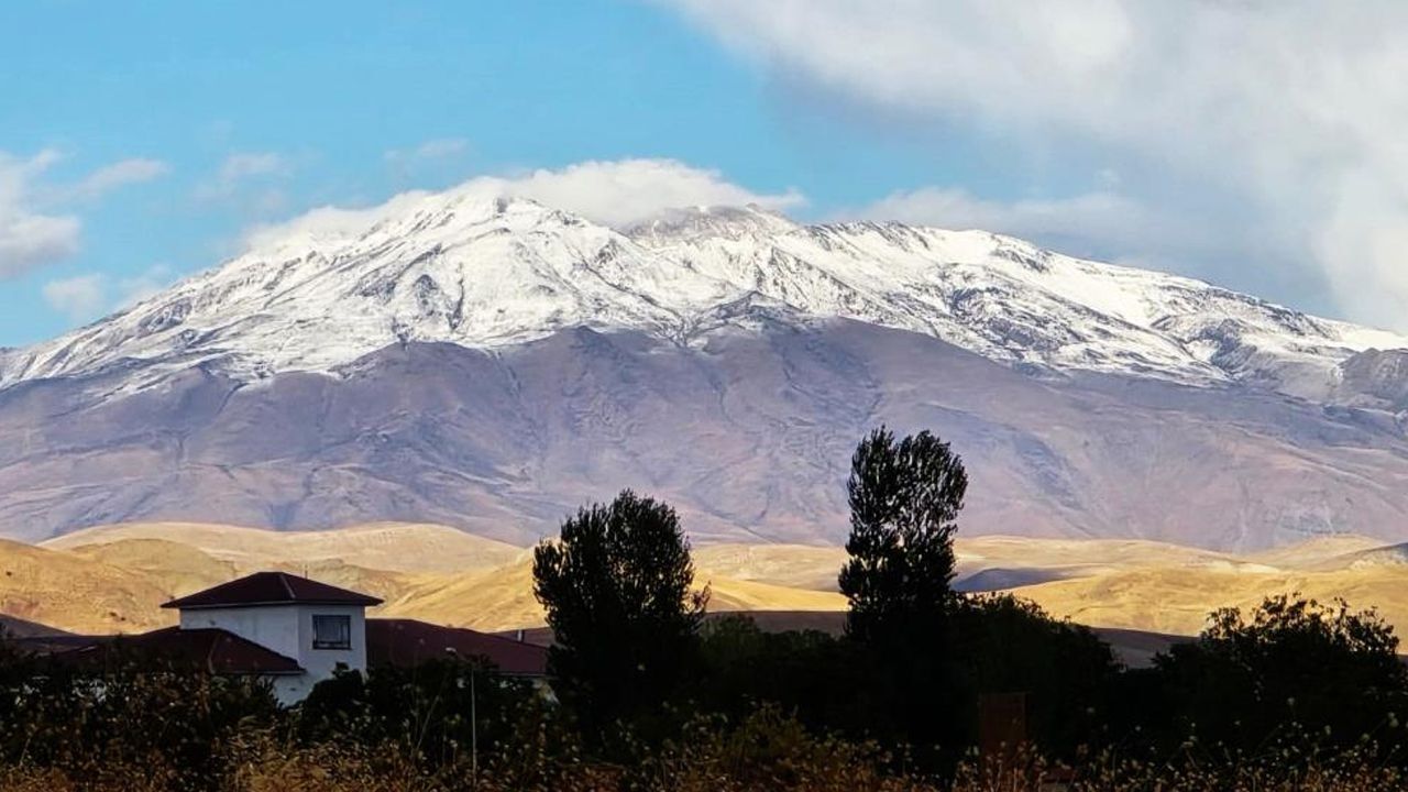 Yaşam