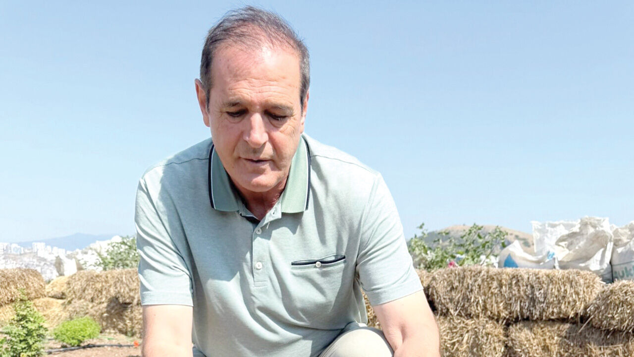 Yabani otu altına çevirdi! Değersiz sanılan bitkilerden servet üretiyor Mustafa Yılmaz
