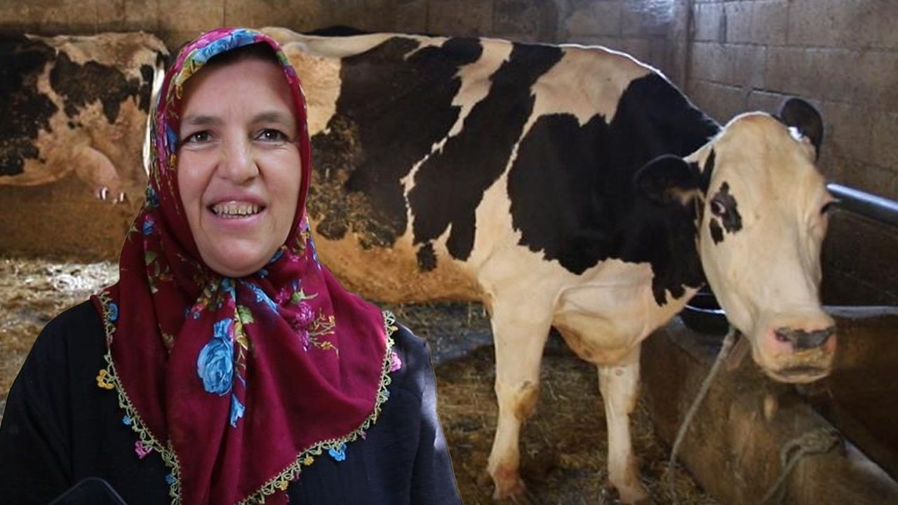 Yaşam