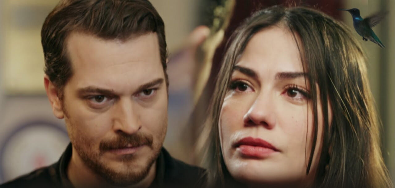 Bu akşam TV'de neler var? 23 Eylül 2025 TV yayın akışı belli oldu Bu akşam TV'de neler var? 23 Eylül 2025 TV yayın akışı belli oldu - 2. Resim