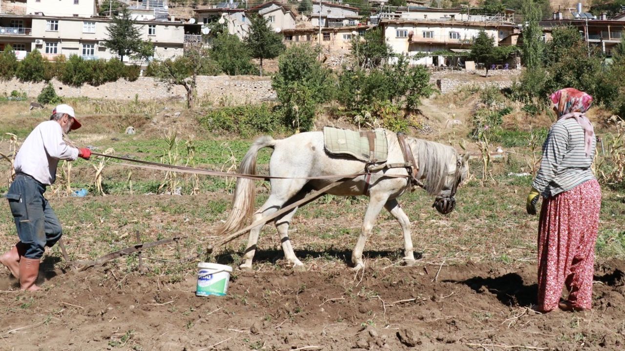 Yaşam