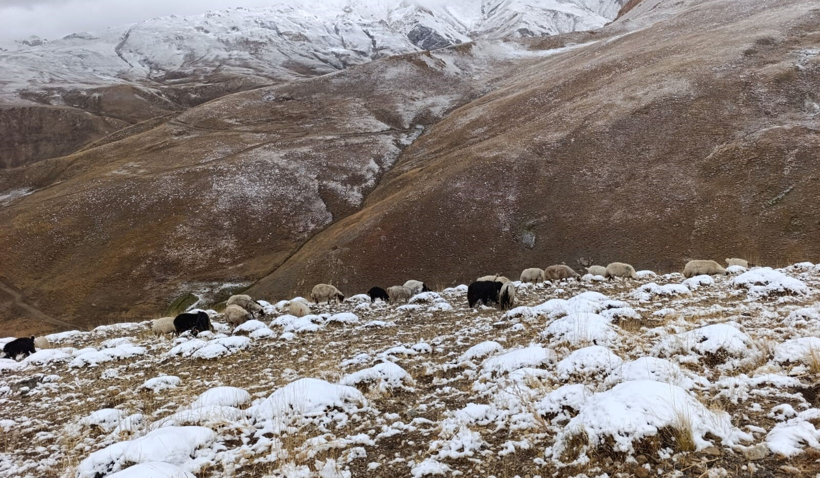 Eylül ayında karla mücadele! Yollar kapandı, vatandaşlar mahsur kaldı Eylül ayında karla mücadele! Yollar kapandı, vatandaşlar mahsur kaldı - 3. Resim