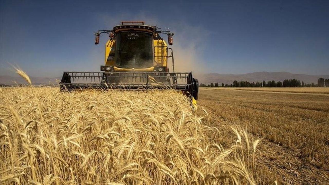 Tarımsal girdi fiyat endeksi temmuzda yıllık yüzde 34,22 arttı