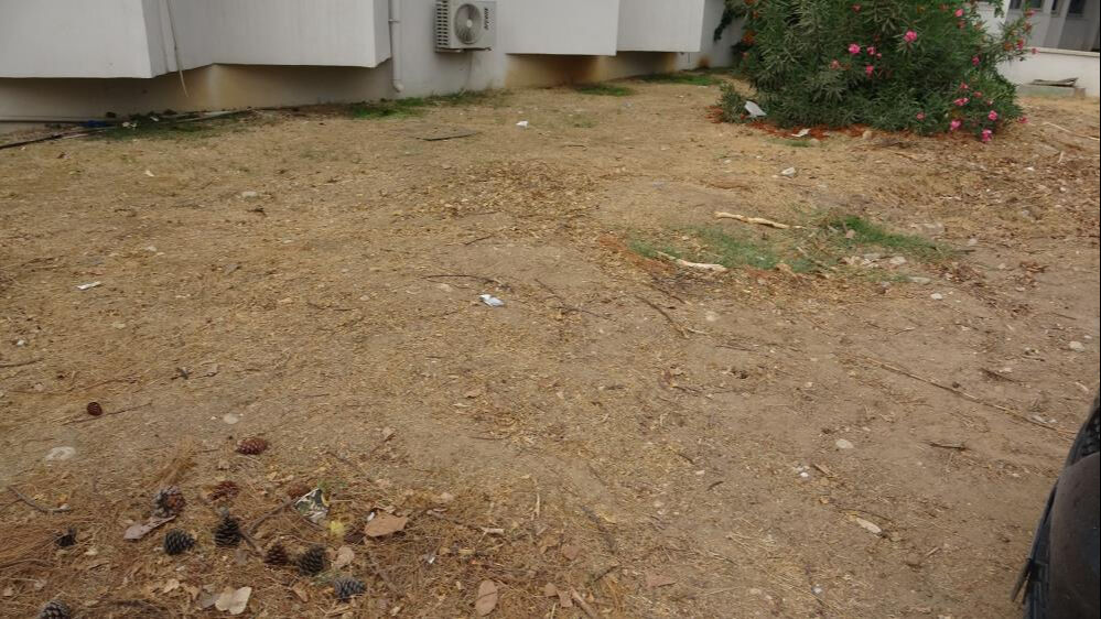 4 yıl önce gömülmüştü! 16 metrelik balina iskeleti kazıyla çıkarılacak - 2. Resim