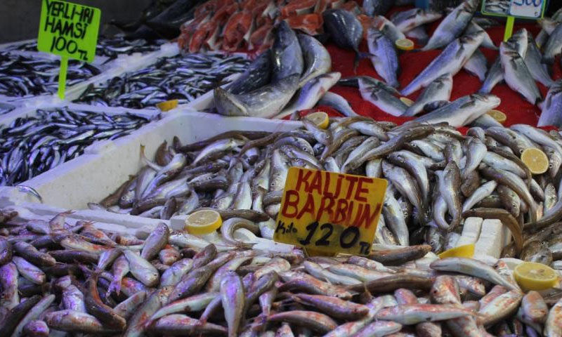 Fiyatıyla “fakirin eti” oldu, talep rekora koşuyor! Kilosu 100 TL’ye düştü - 1. Resim