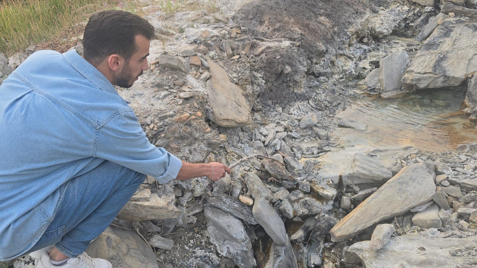 Hakkâri’de esrarengiz vadi herkesin dilinde! Şifalı sanılıyor ama hayvanlara ölüm saçıyor Hakkâri’de esrarengiz vadi herkesin dilinde! Şifalı sanılıyor ama hayvanlara ölüm saçıyor - 1. Resim