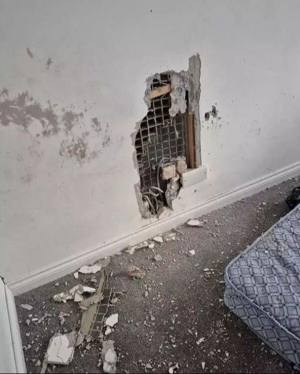 İngiltere'de bir ailenin çaresiz bekleyişi: Çocukları, kablolardan halılara her şeyi yiyor İngiltere'de bir ailenin çaresiz bekleyişi: Çocukları, kablolardan halılara her şeyi yiyor - 2. Resim