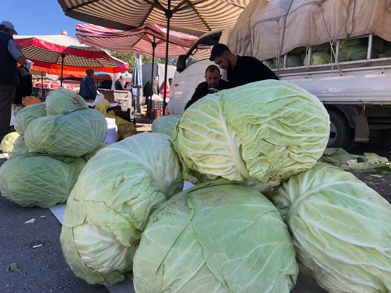 Kışın habercisi lahana tezgahlarda yerini aldı! Vatandaş fiyattan şikayetçi Kışın habercisi lahana tezgahlarda yerini aldı! Vatandaş fiyattan şikayetçi - 1. Resim