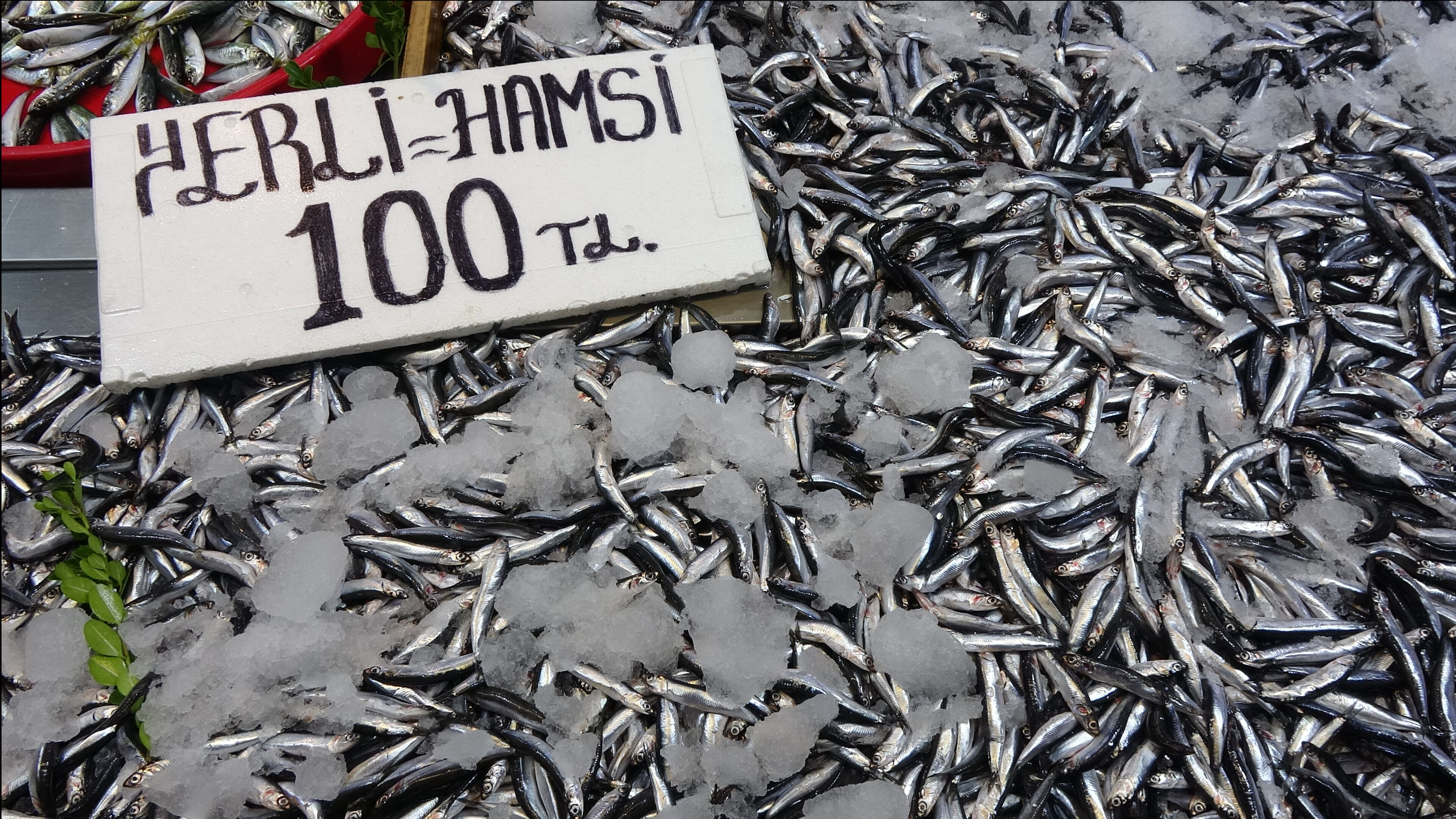 Son yılların en bereketli "hamsi" sezonu! Kilosu bakın kaç liraya geriledi - 1. Resim