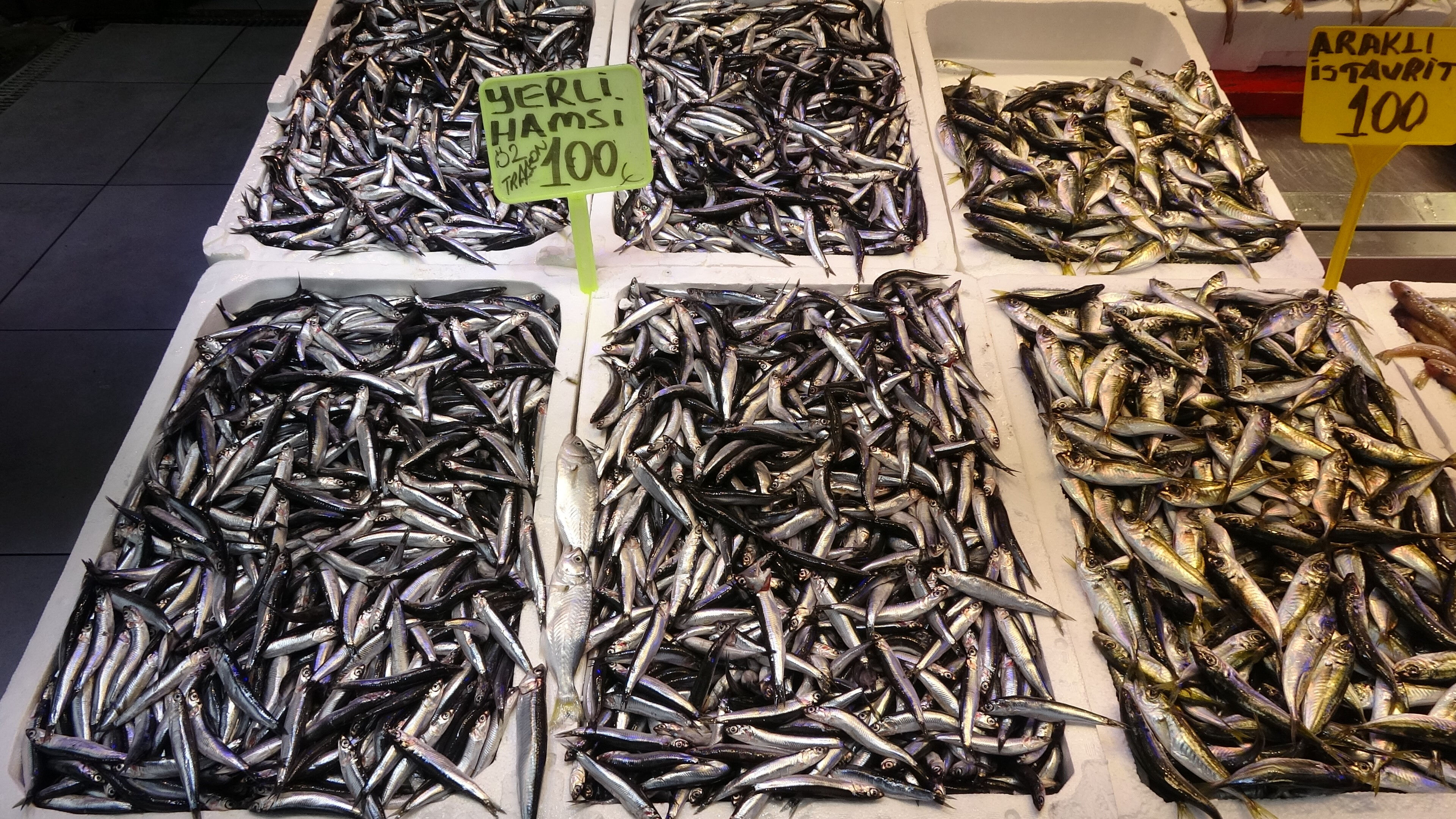 Son yılların en bereketli "hamsi" sezonu! Kilosu bakın kaç liraya geriledi - 2. Resim