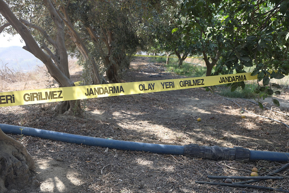 Mandalina bahçesinde dehşet! Hemşehrisini önce satırla öldürdü, sonra parasını aldı - 2. Resim